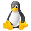 linux