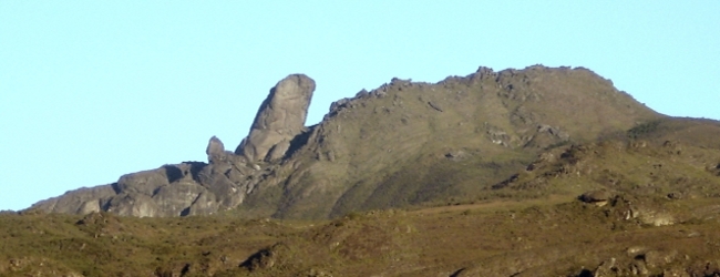 Image1\